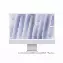 Apple iMac 24 Retina 4,5K M4 (10/10 16/256) Silver (MWUU3)