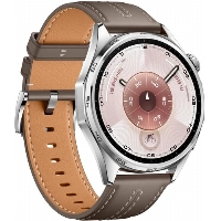 Смарт-часы Huawei Watch GT 6 46mm, Brown, коричневый