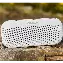 Портативная акустика Bose SoundLink Flex, White, белый