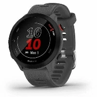 Умные часы Garmin Forerunner 55, 0100256213, Gray
