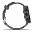 Умные часы Garmin Forerunner 55, 0100256213, Gray