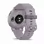 Умные часы Garmin Vivoactive 5 Metallic Orchid	