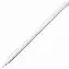Стилус Apple Pencil (2nd Generation)