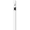 Стилус Apple Pencil (USB-C) (MUWA3AM)