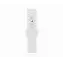Apple Watch Series 8 41mm Aluminum Case with Sport Band, , размер S/M, Silver, серебристый 