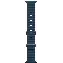 Apple Watch Ultra 2 49mm Titanium Case Ocean Band, Dark Blue