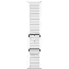 Apple Watch Ultra 2 49mm Titanium Case Ocean Band, White, белый