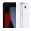 Планшет Apple iPad (2021) 64 ГБ, Wi-Fi, Silver, серебристый 