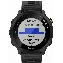 Умные часы Garmin Forerunner 55, 0100256210, Black