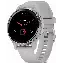 Умные часы Garmin Venu 2S  Bezel with Mist Gray Case and Silicone Band, Silver