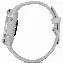 Умные часы Garmin Venu 2S  Bezel with Mist Gray Case and Silicone Band, Silver
