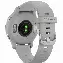 Умные часы Garmin Venu 2S  Bezel with Mist Gray Case and Silicone Band, Silver