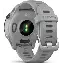 Умные часы Garmin Forerunner 255S Basic (GPS) Powder Gray 0100264112