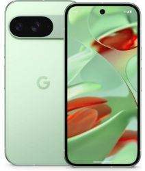 Смартфон Google Pixel 9 12/256 Gb, Wintergreen, JP