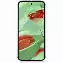 Смартфон Google Pixel 9 12/128 Gb, Wintergreen, JP