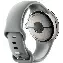 Умные часы Google Pixel Watch 2, 41мм, Champagne /Hazel, Gold, золотистый